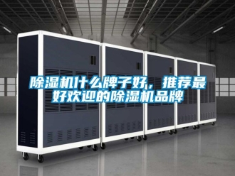 企業新聞除濕機什么牌子好，推薦最好歡迎的除濕機品牌