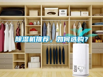 行業新聞除濕機推薦，如何選購？
