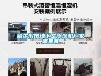 企業(yè)新聞哈爾濱市地下室除濕機(jī)廠家哪里有