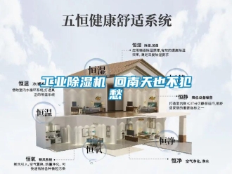 企業(yè)新聞工業(yè)除濕機(jī) 回南天也不犯愁