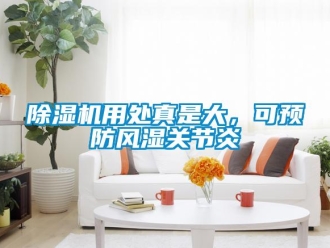 企業新聞除濕機用處真是大，可預防風濕關節炎