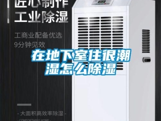 企業新聞在地下室住很潮濕怎么除濕