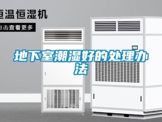 企業(yè)新聞地下室潮濕好的處理辦法