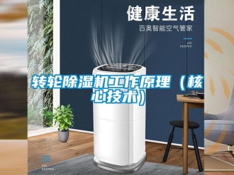 知識百科轉(zhuǎn)輪除濕機工作原理（核心技術(shù)）