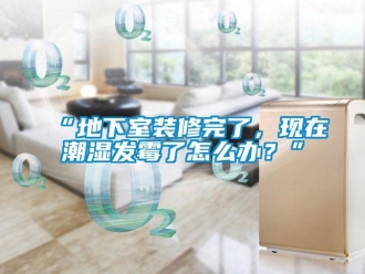 企業新聞“地下室裝修完了，現在潮濕發霉了怎么辦？”