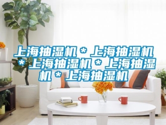 企業新聞上海抽濕機＊上海抽濕機＊上海抽濕機＊上海抽濕機＊上海抽濕機