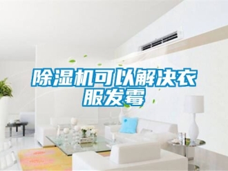 行業(yè)新聞除濕機可以解決衣服發(fā)霉
