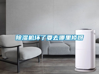行業(yè)新聞除濕機壞了要去哪里修呀
