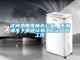 知識百科這間熱帶雨林辦公室，不潮濕不下雨還讓員工忘記了在工作