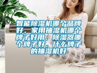 企業新聞智能除濕機哪個品牌好，家用抽濕機哪個牌子好用，除濕器哪個牌子好，什么牌子的抽濕機好