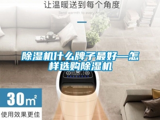 行業(yè)新聞除濕機(jī)什么牌子最好—怎樣選購(gòu)除濕機(jī)