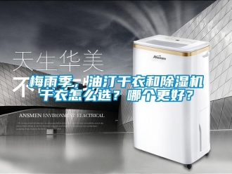 常見問題梅雨季，油汀干衣和除濕機干衣怎么選？哪個更好？