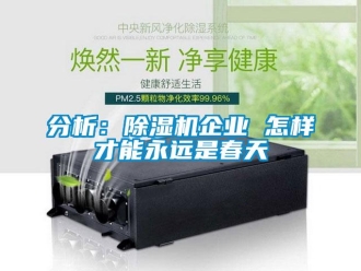 常見問題分析：除濕機企業(yè) 怎樣才能永遠(yuǎn)是春天