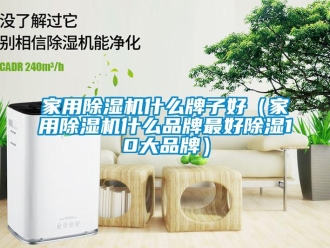 企業(yè)新聞家用除濕機什么牌子好（家用除濕機什么品牌最好除濕10大品牌）