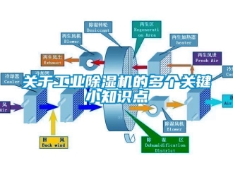 行業(yè)新聞關于工業(yè)除濕機的多個關鍵小知識點