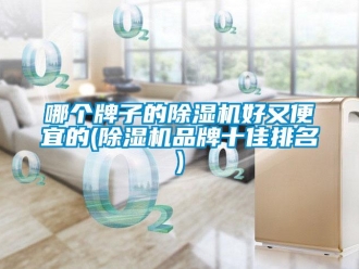 企業(yè)新聞哪個(gè)牌子的除濕機(jī)好又便宜的(除濕機(jī)品牌十佳排名)
