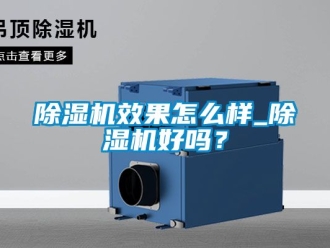 行業新聞除濕機效果怎么樣_除濕機好嗎？