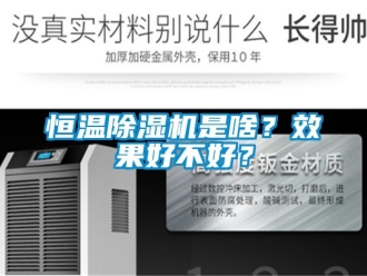知識百科恒溫除濕機是啥？效果好不好？