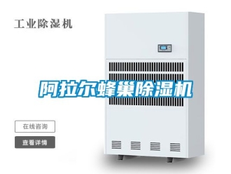 企業(yè)新聞阿拉爾蜂巢除濕機