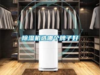 企業(yè)新聞除濕機選哪個牌子好