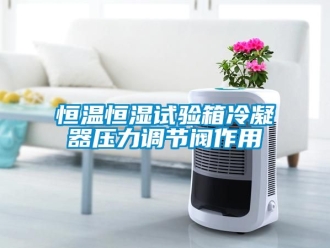 知識百科恒溫恒濕試驗箱冷凝器壓力調(diào)節(jié)閥作用