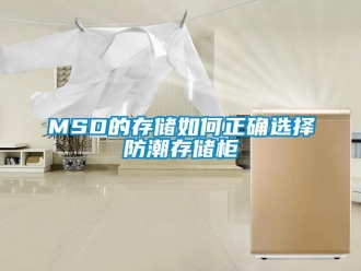 企業(yè)新聞MSD的存儲(chǔ)如何正確選擇防潮存儲(chǔ)柜