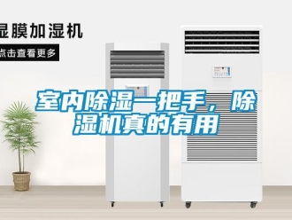 知識百科室內除濕一把手，除濕機真的有用