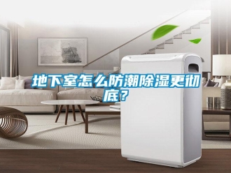 企業(yè)新聞地下室怎么防潮除濕更徹底？