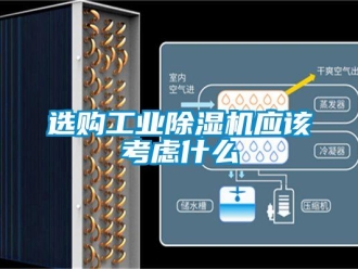 知識(shí)百科選購(gòu)工業(yè)除濕機(jī)應(yīng)該考慮什么