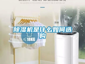 行業(yè)新聞除濕機(jī)是什么如何選購