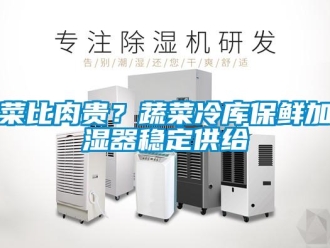 企業(yè)新聞菜比肉貴？蔬菜冷庫保鮮加濕器穩(wěn)定供給