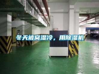 企業新聞冬天被窩濕冷，用除濕機