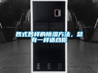 企業新聞各式各樣的除濕方法，總有一樣適合你