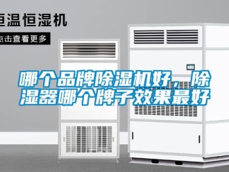 企業(yè)新聞哪個(gè)品牌除濕機(jī)好，除濕器哪個(gè)牌子效果最好