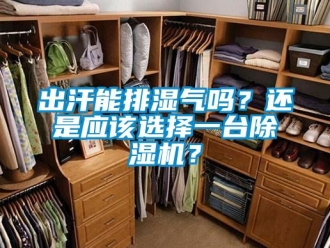 常見(jiàn)問(wèn)題出汗能排濕氣嗎？還是應(yīng)該選擇一臺(tái)除濕機(jī)？