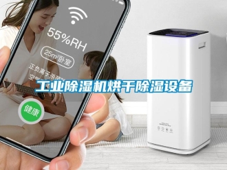 企業(yè)新聞工業(yè)除濕機(jī)烘干除濕設(shè)備