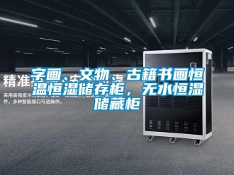 知識百科字畫、文物、古籍書畫恒溫恒濕儲存柜，無水恒濕儲藏柜