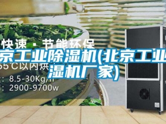 企業(yè)新聞北京工業(yè)除濕機(北京工業(yè)除濕機廠家)