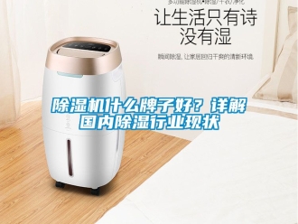 行業(yè)新聞除濕機(jī)什么牌子好？詳解國(guó)內(nèi)除濕行業(yè)現(xiàn)狀