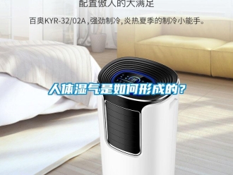 常見問題人體濕氣是如何形成的？