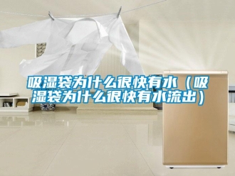 企業新聞吸濕袋為什么很快有水（吸濕袋為什么很快有水流出）