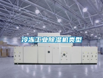 行業(yè)新聞冷凍工業(yè)除濕機類型