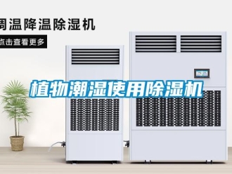 知識百科植物潮濕使用除濕機