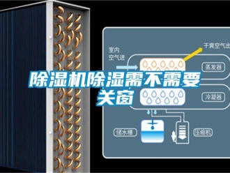 企業新聞除濕機除濕需不需要關窗