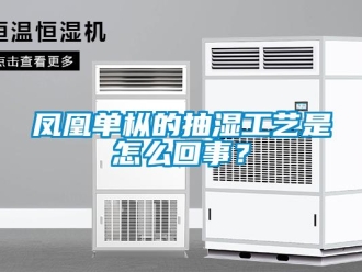 企業(yè)新聞鳳凰單樅的抽濕工藝是怎么回事？