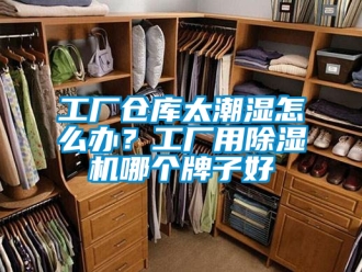 企業(yè)新聞工廠倉(cāng)庫(kù)太潮濕怎么辦？工廠用除濕機(jī)哪個(gè)牌子好