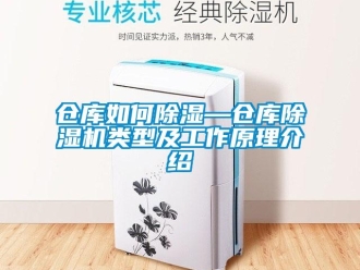 企業新聞倉庫如何除濕—倉庫除濕機類型及工作原理介紹