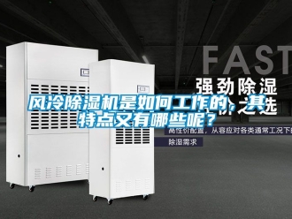 行業新聞風冷除濕機是如何工作的，其特點又有哪些呢？