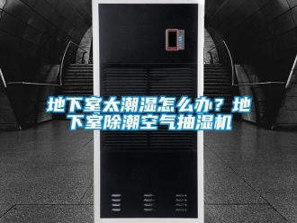 企業(yè)新聞地下室太潮濕怎么辦？地下室除潮空氣抽濕機(jī)