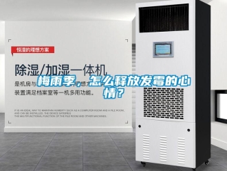 常見問題梅雨季，怎么釋放發霉的心情？